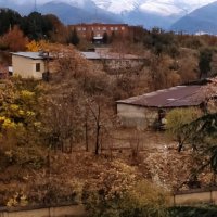 ცɛɧ4ყơų🪴🌵 (@beh4you) 's Twitter Profile