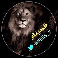 الضــــرغام 𓄂(@55SS_7) 's Twitter Profile Photo