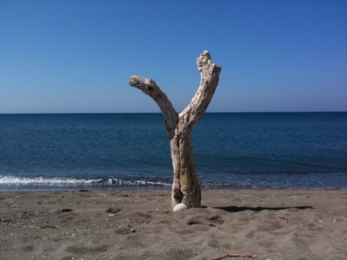 gteloniatis's profile picture. 