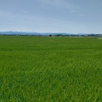 りょう (@sunkakusususu) Twitter profile photo