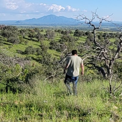 TypicalBaboon's profile picture. Goblin mode