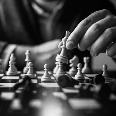 tml_trades's profile picture. 