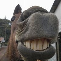 ハヤテあんど幸希 (@hayateonjuku) 's Twitter Profile Photo ハヤテあんど幸希 (@hayateonjuku) 's Twitter Profile Photo