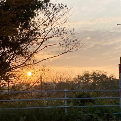 kx1eMcsvEIWHDtA's profile picture. 