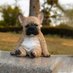 พี่หมาแนะน้ำเครดิตฟรี🐶 (@mastercrazyfun1) Twitter profile photo พี่หมาแนะน้ำเครดิตฟรี🐶 (@mastercrazyfun1) Twitter profile photo