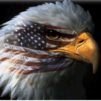Veteran (@usaf_vet827) 's Twitter Profile