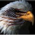Veteran (@usaf_vet827) Twitter profile photo Veteran (@usaf_vet827) Twitter profile photo