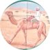 أخبار ولاية السويق (@alsuwaiqnews) Twitter profile photo أخبار ولاية السويق (@alsuwaiqnews) Twitter profile photo