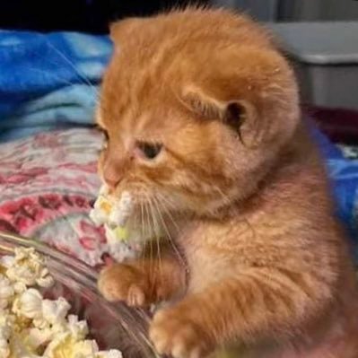 seosmoment's profile picture. 