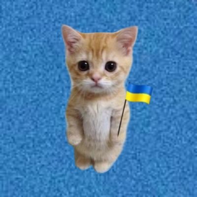 україночка | нацioнaлiсткa | ESTJ | angry economist | люблю animals | не люблю росню | трошки зайобана життям