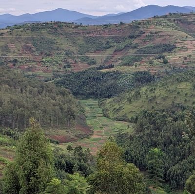 Kwanda250's profile picture. 🇷🇼