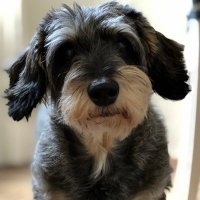 sander_vh (@sander_vh) 's Twitter Profile