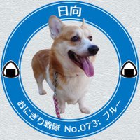 コギ父{日向🐶、楓🐰}(@4Kd3zTsUcZ46yVL) 's Twitter Profile Photo