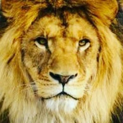 WisdomMediaBC's profile picture. 