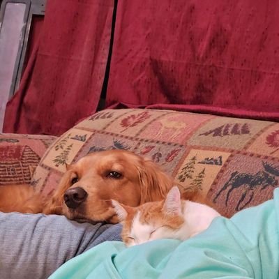 MTreyhaven's profile picture. Veteran, RN, Mom of two, MAGA, 🇺🇸🇺🇸🇺🇸 Tired of watching my country crumble right before my eyes. No porn, you will be Insta-blocked. Dog and Cat mom.