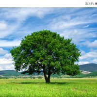 Lorena 🇨🇱 (@lorenaealvarezs) 's Twitter Profile