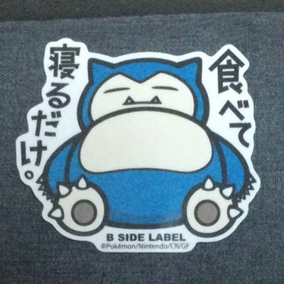 ゴンちゃん ポケモンsv パルデア色図鑑 残り11体 Shiny Pokedex381 392 Sexygonchan1118 Twitter ゴンちゃん ポケモンsv パルデア色図鑑 残り11体 Shiny Pokedex381 392 Sexygonchan1118 Twitter