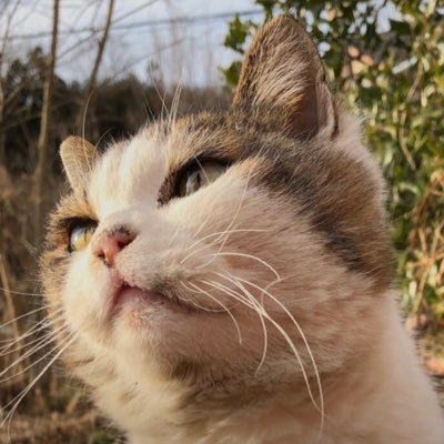 最近はもっぱらユニバ行ってます🌏ユニバに行けば誰かに会えるwティム🧸が好き！