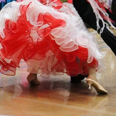 猫との生活
Ballroom dancerを応援する人