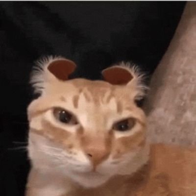 Ulmod_'s profile picture. 