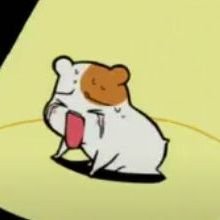sosiolowgi's profile picture. 