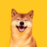 Jennifer Brown ❤️ Memecoin (@leiacat2010) 's Twitter Profile
