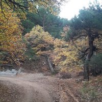 Hakan efe (@cancan06232319) 's Twitter Profile Photo