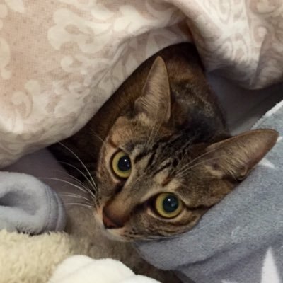 れあさんのプロフィール画像