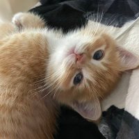 manQw_ (@manqw_) 's Twitter Profile