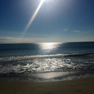 nyer_trying_alt's profile picture. 