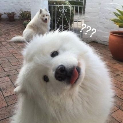 khing_ii's profile picture. อยากเป็นเด่กมช. มช.รับหนุเข้าหน่อยได้มั๊ยค๊าาาาาา