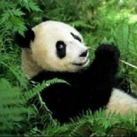 DEMI TUHAN (@jembutbersumpah) 's Twitter Profile Photo