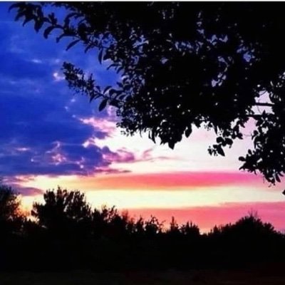 CarolineNTheCT's profile picture. 