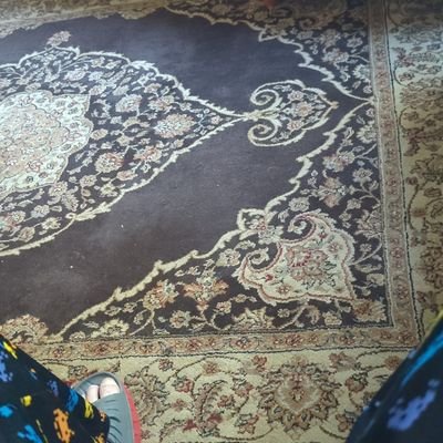 dan_stlmo's profile picture. 