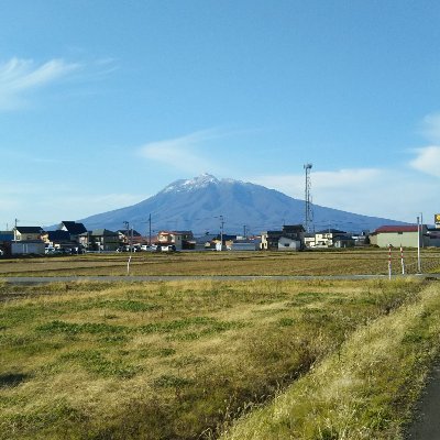 kodama7100's profile picture. 