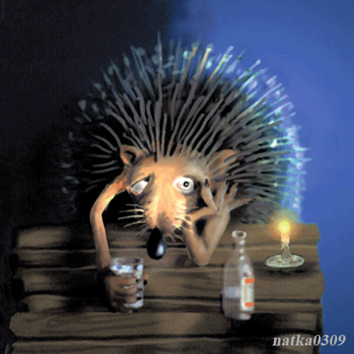 vbizhanov's profile picture. взаимный фолловинг.........