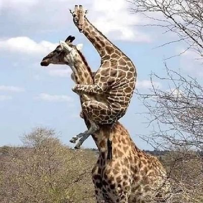 Pulo111118's profile picture. Nourish your hopes, but do not overlook realities.