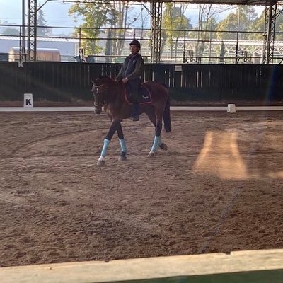 Cuasi abogado UEC ⚖️ // cuasi novillero 🐂// Jinete colombiano🐴