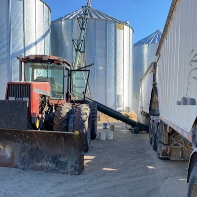 simontberry's profile picture. 4th Generation Farmer SE Sask