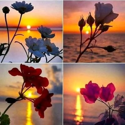 ismahan_sa's profile picture. 