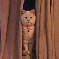 Ck M (@ckm65567955) 's Twitter Profile