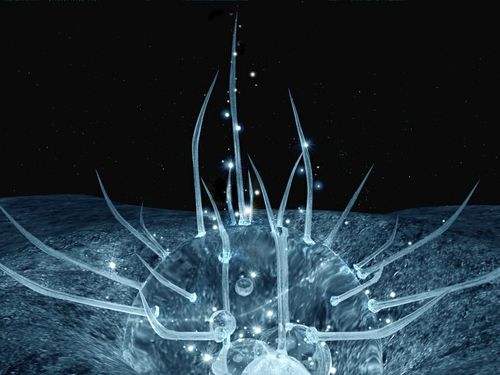 Semenov84's profile picture. взаимный фолловинг........Mutual