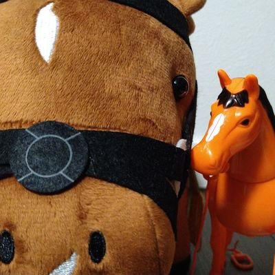 IRKiwxx5x43YbTY's profile picture. 目指せプラス収支！で競馬の専門学校（キーン校長設立）通学中の競馬好きビギナー。