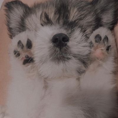 glydel_erlano's profile picture. 