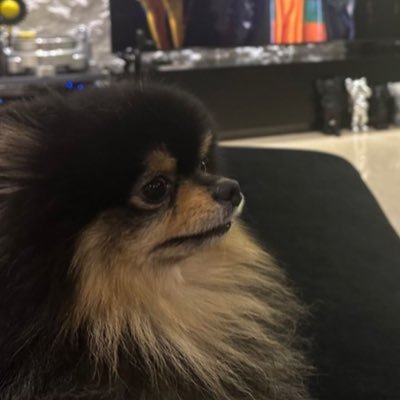 folishnicious's profile picture. .ᴖ◡ᴖ. •ᴗ• -ㅅ- ^♡^ •᷄ɞ•᷅ ^▭^ OJO