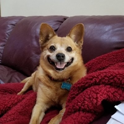 donnalynn1111's profile picture. 