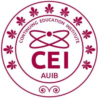 The Continuing Education Institute (CEI) at the American University of Iraq Baghdad (AUIB)