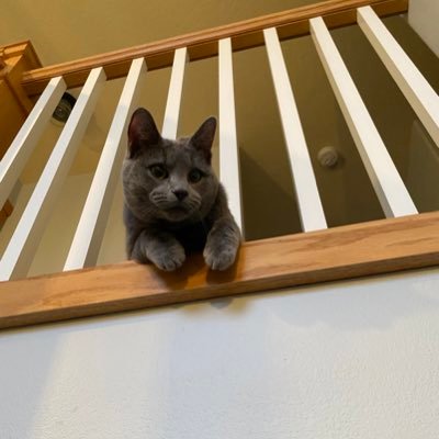 INW_Lauren's profile picture.
