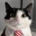 professional sexxer (@latenightcatad) Twitter profile photo professional sexxer (@latenightcatad) Twitter profile photo