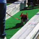 Debbie Rucker - @rangerriley12 - Twitter